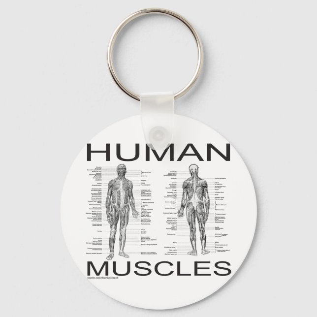 Porte-clés Muscles humains et anatomie (Recto)