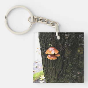 Porte-clés Mushrooms on a tree, Oregon