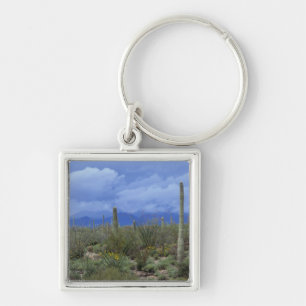 Porte-clés NA, États-Unis, Arizona, Saguaro National Monumen