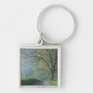 Porte-clés NA, États-Unis, Tennessee, Cades Cove, Great Smoky