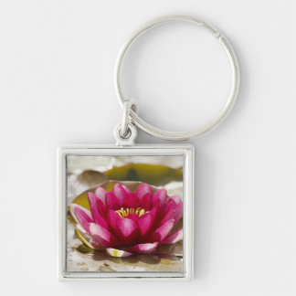 Porte-clés Nénuphar