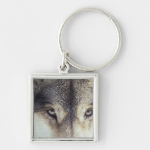 Porte-clés Nom latin : Lupus de Canis