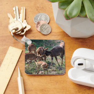 Porte-clés Nyala, antilope rayée saisissante