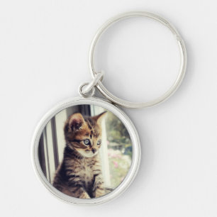 Porte-clés Observation tigrée de chaton