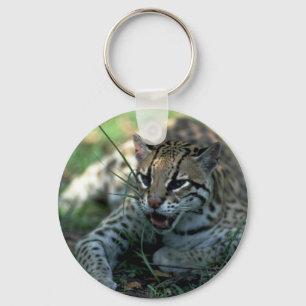 Porte-clés Ocelot se couchant