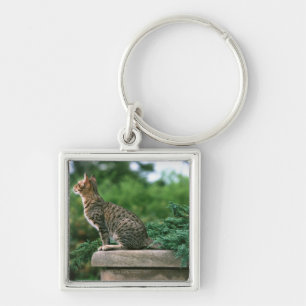 Porte-clés Ocicat 2