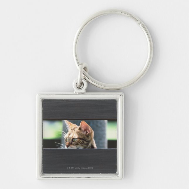 Porte-clés Ocicat 4 (Devant)