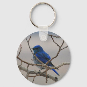 Porte-clés Oiseau bleu de montagne