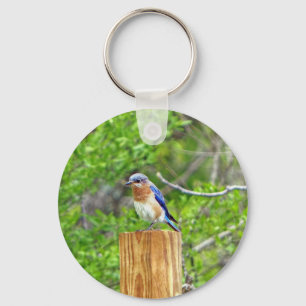 Porte-clés Oiseau bleu sur un courrier de barrière