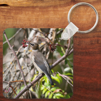Porte-clés Oiseau chanteur perché, Jaseur boréal