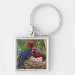 Porte-clés Oiseaux Rosella