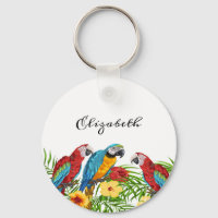 Oiseaux tropicaux perroquets bleu paume rouge nom