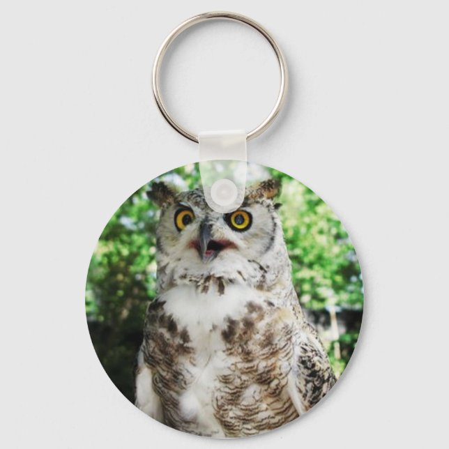 PORTE-CLÉS " OLLY " LE CLEYRING OWL (Recto)