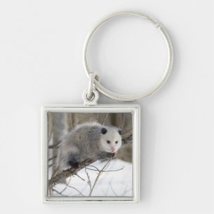 Porte-clés Opossum Love