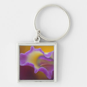 Porte-clés Orchidée hybride, Floride