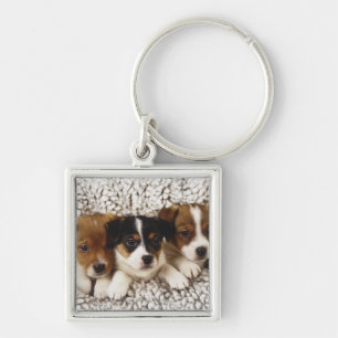 Porte-clés Ordures des chiots