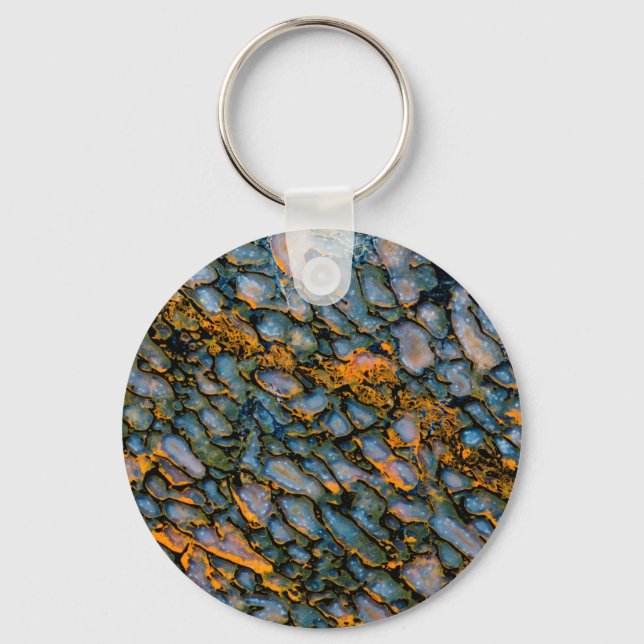 Porte-clés Os Dinosaure Petrifié (Recto)