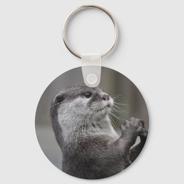 Porte-clés Otter Porte - clé principal (Recto)