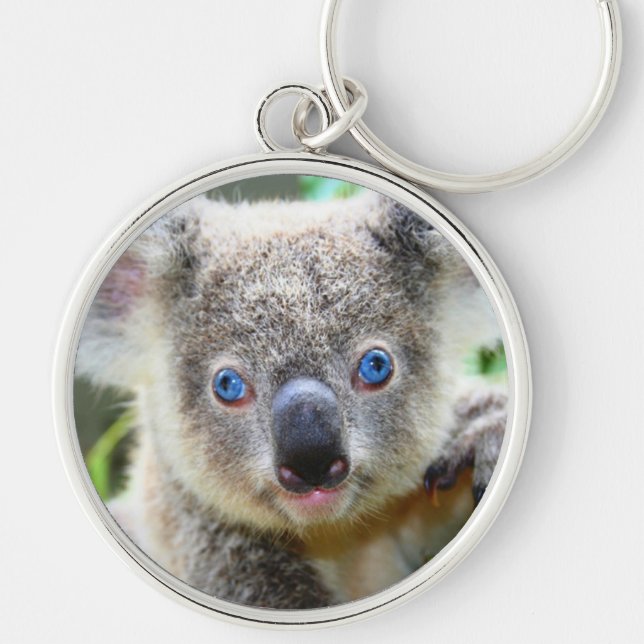 Porte-clés Ours Koala (Devant)