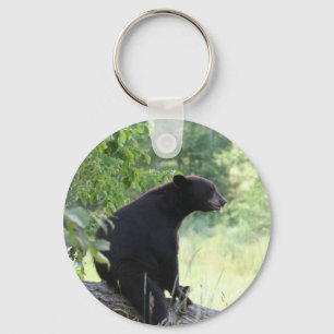 Porte-clés ours noir se reposant dans l'arbre