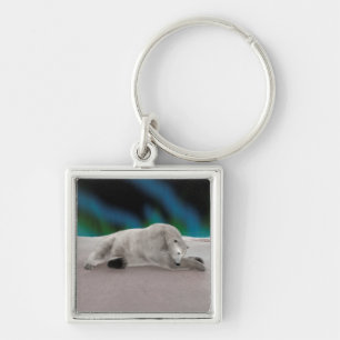 Porte-clés Ours polaire au repos