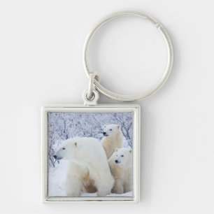 Porte-clés Ours polaires et deux petits