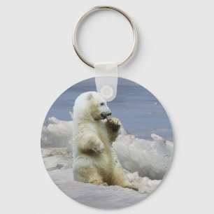 Porte-clés ourson polaire mignon et glace arctique
