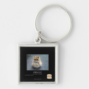 Porte-clés Owlcat