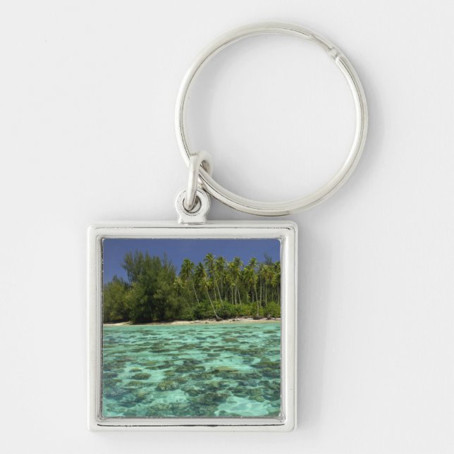 Porte-clés Pacifique Sud, Polynésie française, Moorea 3 (Devant)
