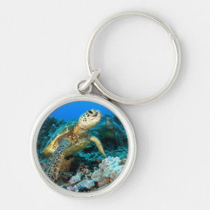 Porte-clés Paires de tortue