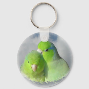 Porte-clés Paires vertes de parrotlet