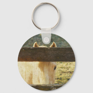 Porte-clés Palomino À La Recherche À Travers La clôture