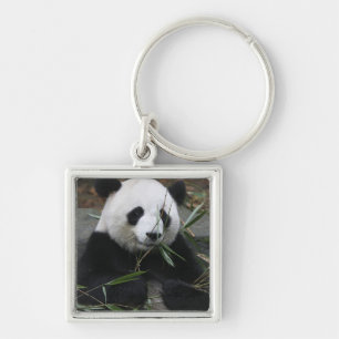 Porte-clés Panda géant