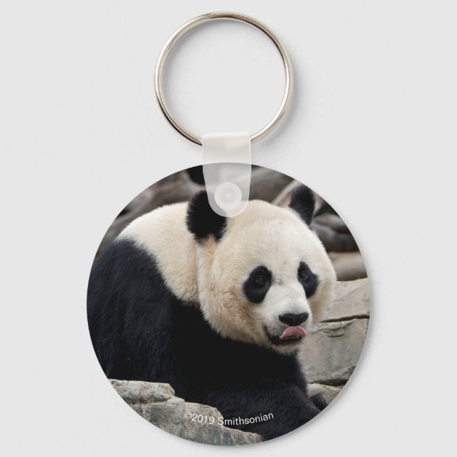 Porte-clés Panda géant sur les rochers (Recto)