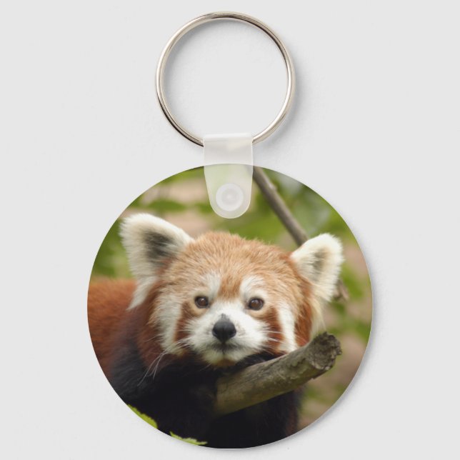 Porte-clés panda-rouge-005 (Recto)