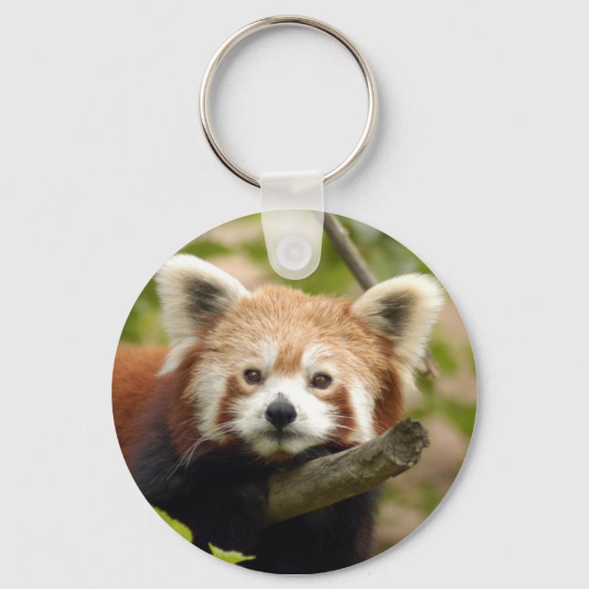 Porte-clés panda-rouge-007 (Recto)