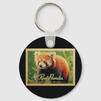 Panda Rouge - Faune De L'Himalaya