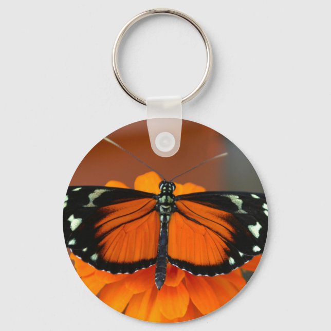 Porte-clés Papillon à long rayon d'Hecale (Recto)