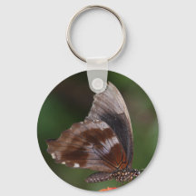 Papillon blanc et Brown sur Fleur rouge