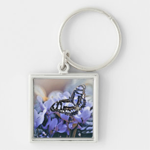 Porte-clés Papillon bleu