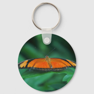 Porte-clés Papillon brillant orange et noir sur une feuille
