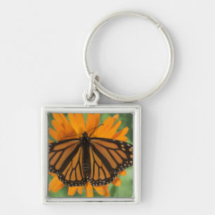 Porte-clés Papillon de monarque (plexippus de Danaus) sur le