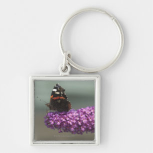 Porte-clés Papillon de paon sur la fleur