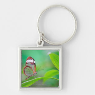 Porte-clés Papillon en verre d'aile détendant sur le vert