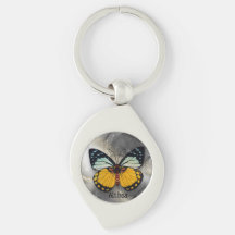 Papillon jaune mignon