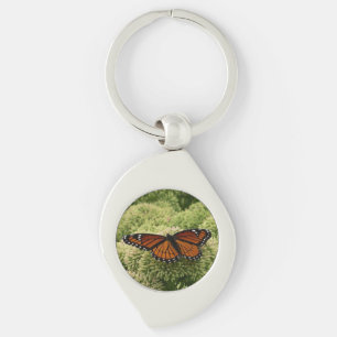 Porte-clés Papillon Limenitis Artémis Photographie De La Bell