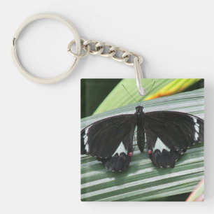 Porte-clés Papillon tropical noir et blanc Acrylique