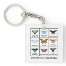Papillons de Chautauqua