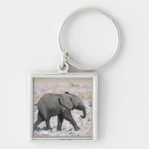 Porte-clés Parc national d'Etosha, Namibie