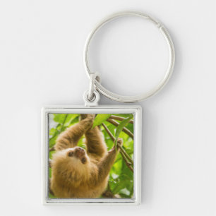 Porte-clés Paresse à l'envers des images   de Getty
